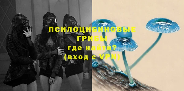 МДПВ Волоколамск