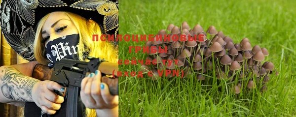 ПСИЛОЦИБИНОВЫЕ ГРИБЫ Вязьма