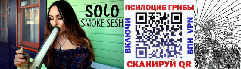 Купить где  Луховицы  Псилоцибиновые грибы мицелий 