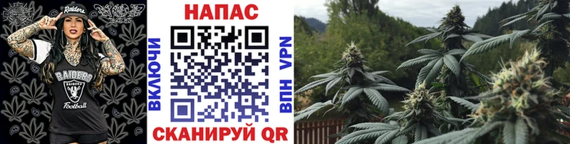 МАРИХУАНА планчик  Купить закладки  Луховицы 